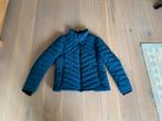 Superdry Puffer Winterjas Petrol Blauw Maat 46, Ophalen of Verzenden, Zo goed als nieuw, Blauw
