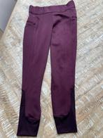 Harry’s Horse Paardrijbroek/-legging wijnrood/bordeau 42 XL, Ophalen of Verzenden, Gebruikt, Dressuur, Onderkleding