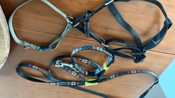 Puppy halsband, harnass, hondriem bundle beschikbaar voor biedingen