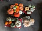 Biologische pompoenen, Diversen, Levensmiddelen, Ophalen of Verzenden