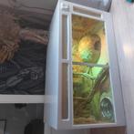 Terrarium, Dieren en Toebehoren, Ophalen, Zo goed als nieuw