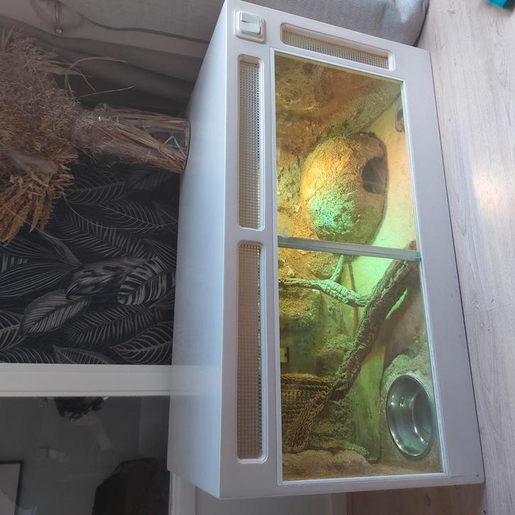 Terrarium, Dieren en Toebehoren, Reptielen en Amfibieën | Toebehoren, Zo goed als nieuw, Ophalen