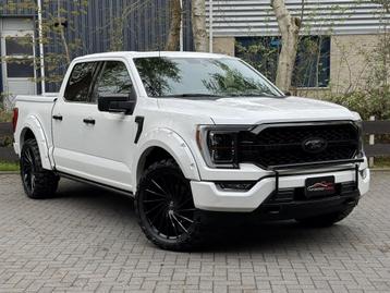 Ford Usa F150 F-150 PLATINUM 4X4 3.5 Eco Boost LPG  beschikbaar voor biedingen