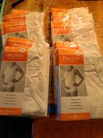 Beeren Bodywear Damesslips - Grote Maten 46-54  Nieuw!, Kleding | Dames, Grote Maten, Ophalen of Verzenden, Nieuw