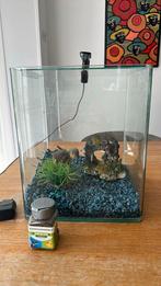 Vissenkom compleet, Dieren en Toebehoren, Vissen | Aquaria en Toebehoren, Ophalen of Verzenden, Zo goed als nieuw, Leeg aquarium