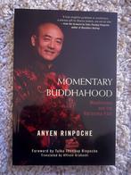 Momentary Buddhahood - Anyen Rinpoche, Boeken, Ophalen of Verzenden, Nieuw, Spiritualiteit algemeen, Achtergrond en Informatie