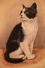 Prachtig schilderij poes in lijst, Antiek en Kunst, Kunst | Schilderijen | Klassiek, Ophalen of Verzenden