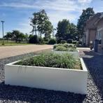 Combideal stalen plantenbakken 2x 120x120x40cm €550,-, Tuin en Terras, Bloembakken en Plantenbakken, Tuin, Nieuw, Ophalen of Verzenden