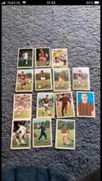 Nec panini vanderhout 1970-1971 nieuw, Ophalen of Verzenden, Zo goed als nieuw, Overige binnenlandse clubs