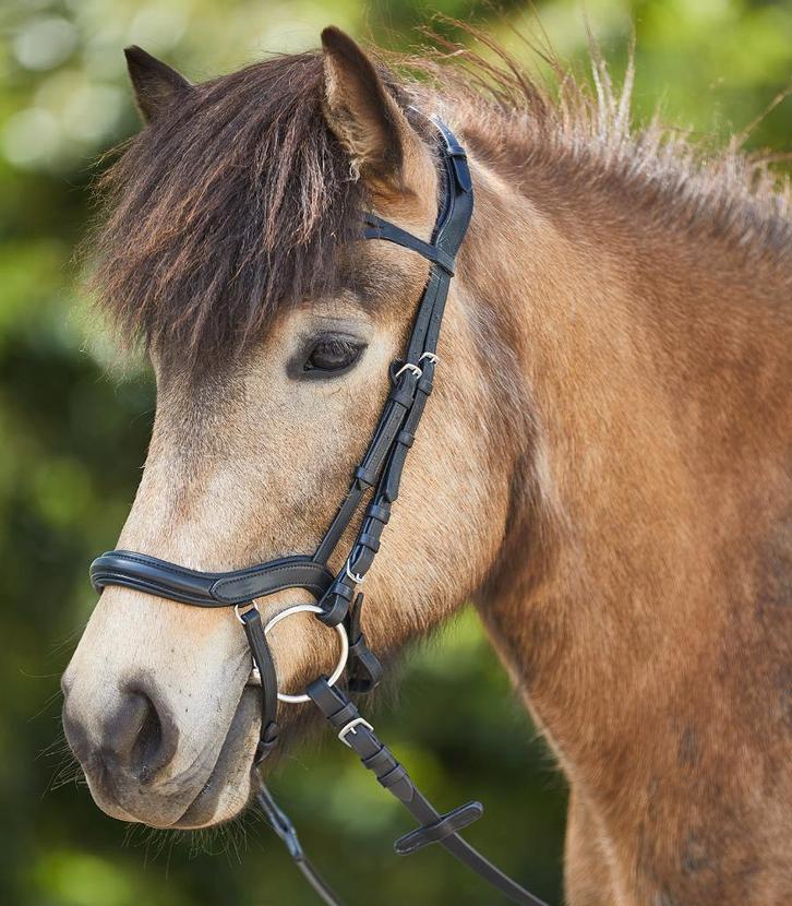 Nieuw IJslander hoofdstel Anatomisch Zwart, Dieren en Toebehoren, Paarden en Pony's | Hoofdstellen en Tuigage, Nieuw, Overige soorten