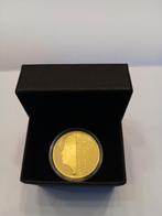 Gouden gulden 2001 Bruno Ninaber van Eyben (losse munt), 1 gulden, Koningin Beatrix, Losse munt, Goud