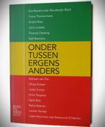 Ondertussen ergens anders~Rieu~Dessing~van Dis~Bolt ea, Boeken, Diverse auteurs, Ophalen of Verzenden, Zo goed als nieuw, Nederland