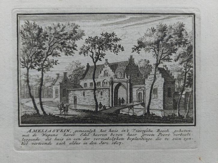 256 / Huis Viaensebos - Viaansebos te Vianen, Antiek en Kunst, Kunst | Etsen en Gravures, Ophalen of Verzenden