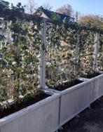 Plantenbakken/bloemenbak van stijgerhout nieuw, Tuin, Verzenden, Vierkant, Nieuw