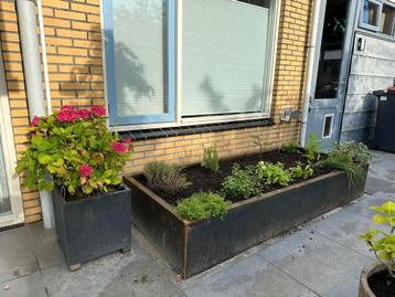 Cortenstaal plantenbakken bloembak beschikbaar voor biedingen