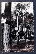 Papegaai, Vogel- en Dierenpark De Vluchtheuvel, Norg, Verzenden, 1960 tot 1980, Gelopen, Vogel