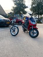 Viva city zonder 123, Ophalen