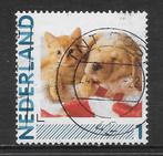 Persoonlijke, Hallmark, Kitten en Pup (K0305), Ophalen of Verzenden