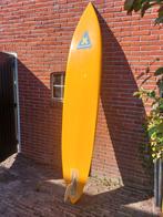 Vintage Gaastra Sails surfboard, custom paint., Watersport en Boten, Ophalen of Verzenden, Gebruikt, 250 tot 300 cm, Plank