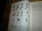 roofvogels tinbergen uitgave NJN met afbeeldingen, Boeken, Ophalen of Verzenden, Nieuw