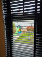 Bamboe jaloezieën - Natuurlijke uitstraling, Huis en Inrichting, Stoffering | Gordijnen en Lamellen, Ophalen, Zwart, Natuurlijk