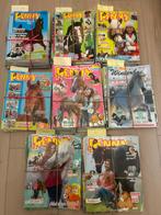 Penny tijdschriften paard pony jaargang 2008 - 2018, Ophalen of Verzenden, Gelezen, Sport en Vrije tijd