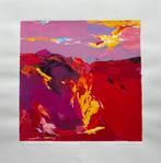 Zeefdruk Marion Bakker - Burning Landscape II, Antiek en Kunst, Verzenden