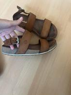 Timberland sandalen, Bruin, Timberland, Gedragen, Sandalen of Muiltjes