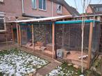 KIPPENHOK, konijnenhok + voliere, cavia's of fretten 7m, 90 cm of meer, Hok, Ophalen, Cavia
