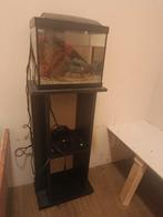Leuk klein aquarium, Ophalen of Verzenden, Zo goed als nieuw