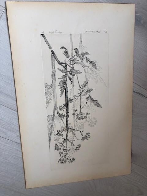 Pentekeningen, Ophalen