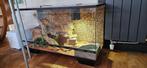 Luxe Terrarium 100x40x50 met achterwand, Dieren en Toebehoren, Reptielen en Amfibieën | Toebehoren, Gebruikt, Terrarium of Paludarium