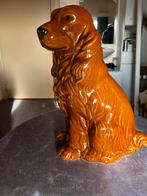 Beeld van hond, hondenbeeld, Engelse Cocker Spaniël, Ophalen of Verzenden, Nieuw, Dier