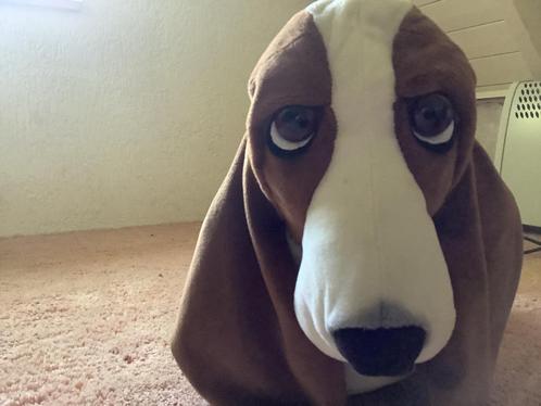 Knuffel hond basset, Kinderen en Baby's, Speelgoed | Knuffels en Pluche, Zo goed als nieuw, Hond, Ophalen of Verzenden