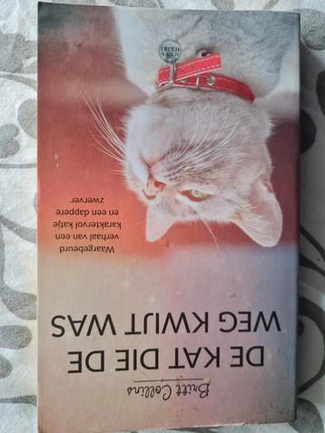 De kat die de weg kwijt was Britt Collins beschikbaar voor biedingen