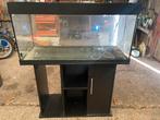 Juwel Aquarium 100x52x40 cm incl. kast, verwarming, filter, Ophalen, Leeg aquarium
