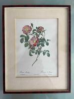 Rosier d'Amour (kunstafdruk), Antiek en Kunst, Ophalen of Verzenden