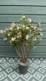 Rozenboom kunst handmade, Ophalen, Binnen