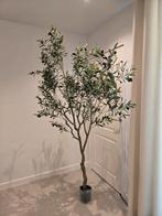 Kunst Olijfboom 180cm, Huis en Inrichting, Ophalen, Nieuw