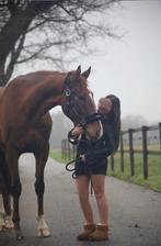 Bijrijder aangeboden!!, Ophalen