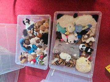 Heel veel knuffels allemaal nog netjes beschikbaar voor biedingen