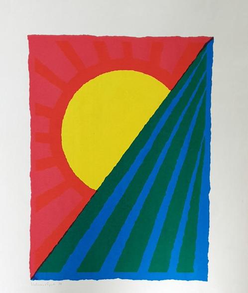 Exclusieve zeefdruk 29, Antiek en Kunst, Kunst | Litho's en Zeefdrukken, Ophalen