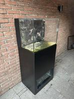 zeeaqaurium waterbox 35.2, Dieren en Toebehoren, Ophalen, Zo goed als nieuw