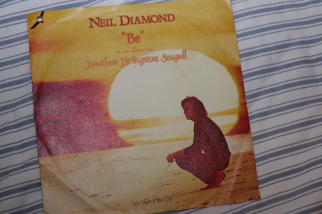 single Neil Diamond be/ jonathan livingstone seagull, Verzenden, Gebruikt, Pop, Single