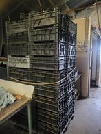 50 kraten, Ophalen of Verzenden, 60 cm of meer, Doos, Minder dan 35 cm