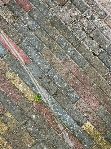 20m2 Terras Klinkers - Gratis  beschikbaar voor biedingen