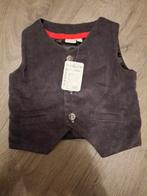 Nieuw maat 80 merk prenatal, Kinderen en Baby's, Babykleding | Maat 80, Ophalen of Verzenden, Nieuw, Jongetje, Jasje