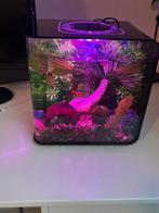 Aquarium Biorb flo, Dieren en Toebehoren, Vissen | Aquaria en Toebehoren, Ophalen of Verzenden, Zo goed als nieuw, Leeg aquarium