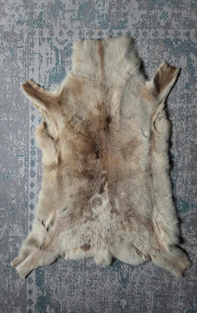 Mooie rendierhuid / rendiervel als decoratie, 100 tot 150 cm, Crème, Scandinavisch, Zo goed als nieuw