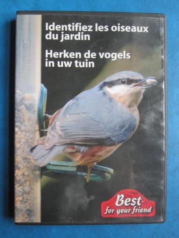 Herken de vogels in uw tuin beschikbaar voor biedingen